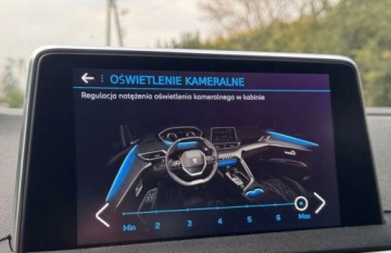 Peugeot 3008 II Crossover 1.5 BlueHDI 130KM 2020 Peugeot 3008 Led Skora Ambiente Kamera LineAssist Pamieci Alu18 Serwis Gwa, zdjęcie 13