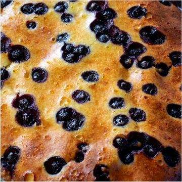 Смородина черная сублимированная 100г HiFOOD