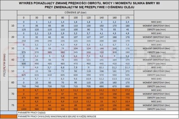 САМЫЙ МОЩНЫЙ ГИДРАВЛИЧЕСКИЙ ДВИГАТЕЛЬ BMRY 80 750 об/мин 14,9 кВт 180 Нм ВАЛ 25