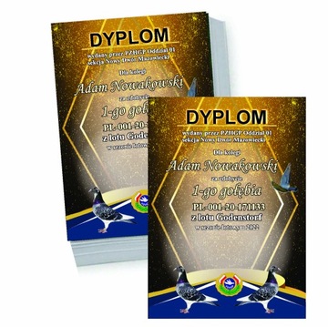 Dyplom hodowcy gołębi loty + gratis