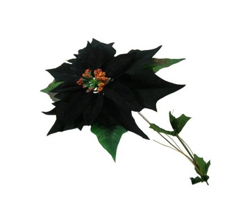 GWIAZDA BETLEJEMSKA CZARNA BOŻE NARODZENIE 21CM