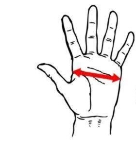 Перчатки для тренировок MMA Bushido 