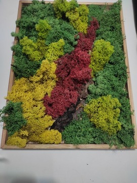 картина мха хлоботека живая картина