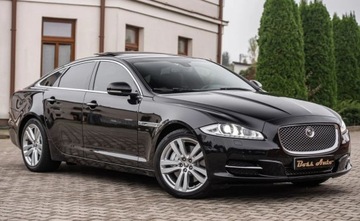 Jaguar XJ VII X351 Sedan SWB 3.0 V6 S/C 340KM 2013 Jaguar XJ 3.0T 340KM Luxury Navi Skora Camera ..., zdjęcie 1