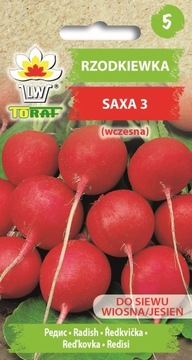 RZODKIEWKA SAXA 3 WCZESNA 10g TORAF