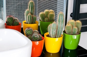 DONICZKA Z PODSTAWKĄ PLASTIKOWA OSŁONKA DONICA 12cm ŻÓŁTA NA KWIATY KADAX