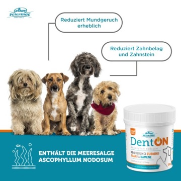 VITAR Veterinae ArtiVit Сироп + Дентон + Лососевое масло