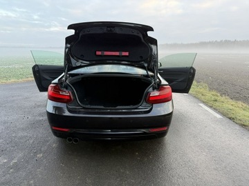 BMW Seria 2 F22-F23-F45-F46 Coupe 220i (Euro 6) 184KM 2016 BMW 220 2.0i 184KM 68tys.km. Navi Bezwypadkowy, zdjęcie 12