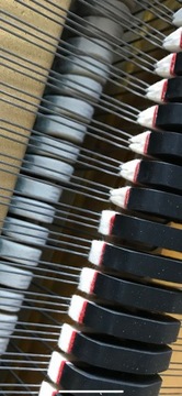 ПЕТРОФ P 173 РОКОКО ФОРТЕПИАНО