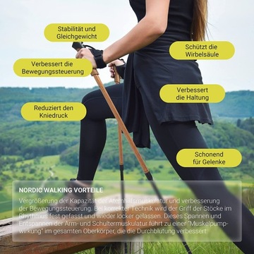 Палки для скандинавской ходьбы премиум-класса \u2013 высокое качество