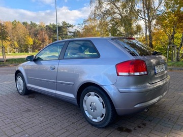 Audi A3 8P Hatchback 3d 1.6 102KM 2007 Audi A3 Attraction 1.6 Benzyna, zdjęcie 3