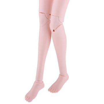 1/4 женской маленькой части тела