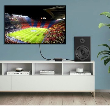 КОНВЕРТЕРНЫЙ УСИЛИТЕЛЬ TOSLINK КОАКСИАЛЬНЫЙ 2x ЦАП CINCH