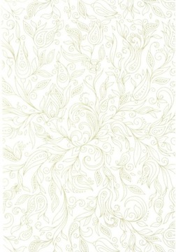 Карточки с сильными животными, instr.pl