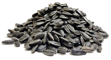 Słonecznik czarny 1 kg dla drobiu kur ptaków