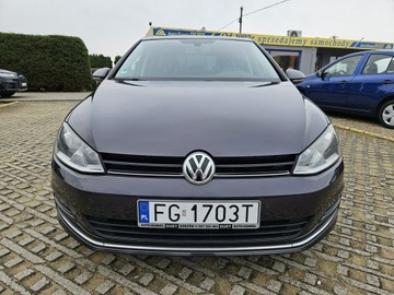 Volkswagen Golf VII Hatchback 3d 1.4 TSI BlueMotion Technology 125KM 2015 Volkswagen Golf 1,4 benzyna 125KM nawigacja kamera, zdjęcie 6
