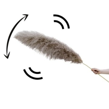 БУКЕТ СУШЕННАЯ ПАМПАССНАЯ ТРАВА БОЛЬШОЙ БЕЛЫЙ XXL 6 шт.