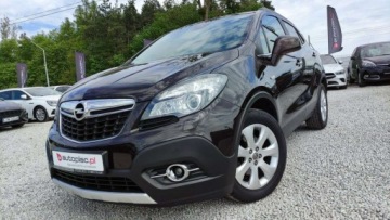Opel Mokka I SUV 1.7 CDTI ECOTEC 130KM 2013 Opel Mokka 1.7 CDTi 131kM Led Xenon Kamera Navi Skora Jak Nowa Serwis GWAR, zdjęcie 8