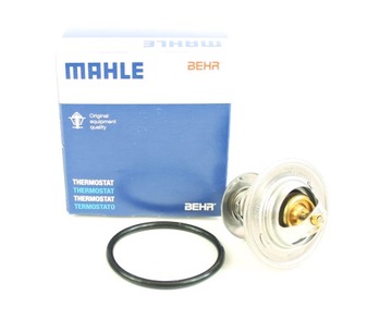 Termostat BEHR TX 13 87D 44121113