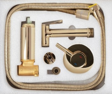 LOOP золотой смеситель для биде, скрытого монтажа, настенный Rea