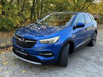 Opel 2018 Opel Grandland X Navi Klimatronic LED Automat TOP, zdjęcie 2