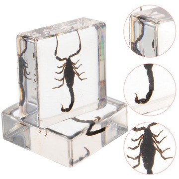 Образец украшения стола «Скорпион» в области биологии смолы