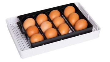 ИНКУБАТОР НА 35 ПТИЦЫ ЯИЦ ШПЯНИК БЕСПЛАТНО