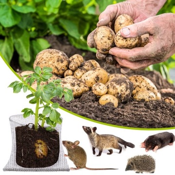 4X МЕТАЛЛИЧЕСКАЯ СЕТОЧНАЯ КОРЗИНА ДЛЯ КОРНЕЙ РАСТЕНИЙ ОТ КРОТОВ И ПОЛЕВОК