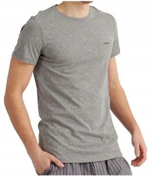 DIESEL Muscle Fit _ Light Grey T-shirt GYM _ L