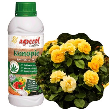 KONOPIE – STYMUFLOR-K – STYMULATOR WZROSTU ROŚLIN
