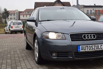 Audi A3 8P Hatchback 3d 2.0 FSI 150KM 2003 Audi A3 2.0 Benzyna, AUTOMAT, 3-Drzwi, Sprowad..., zdjęcie 37