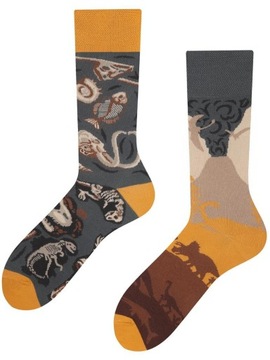 Kolorowe skarpetki Todo Socks Prehistoria 43-46
