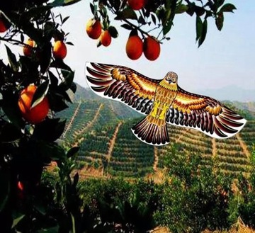 ODSTRASZACZ PTAKÓW LATAWIEC ORZEŁ DUŻY MOCNY 160CM DO SADU NA DZIAŁKĘ