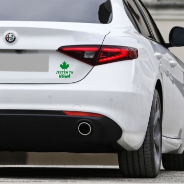 Автомобильная наклейка «Зеленый лист» — расскажите другим о своем опыте