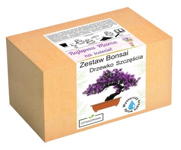 Подарок на День матери, дерево счастья бонсай, подарок на день матери, роза