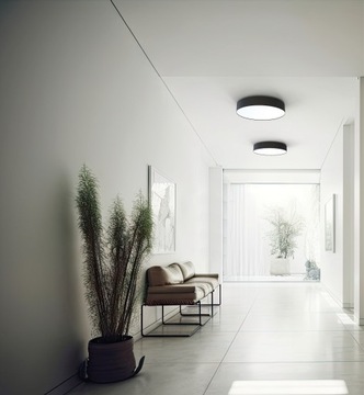 NOWODVORSKI ПОТОЛОЧНЫЙ СВЕТИЛЬНИК 10185 ARENA ПОТОЛОЧНЫЙ СВЕТИЛЬНИК ДЛЯ ВАННОЙ КОМНАТЫ LED