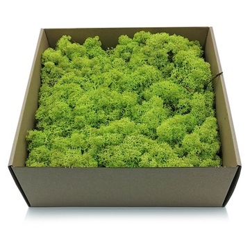 500 г оленьего мха весеннего