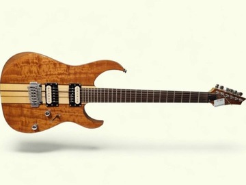 Электрогитара Raven ISM2000 NA + футляр