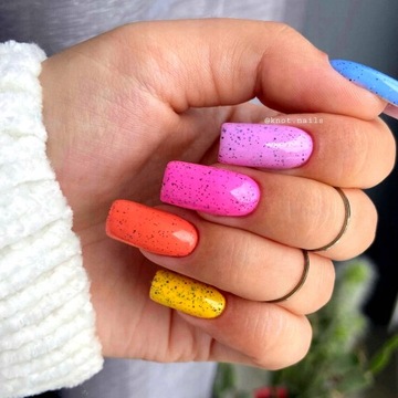 CLARESA FESTIVAL VIBES ГИБРИДНЫЙ ПОЛЬСКИЙ ГИБРИДНЫЙ ЦВЕТ НА ВЫБОР