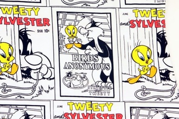 Looney Tunes Tweety Sylvester Sukienka Tunika r. M