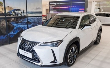 Lexus UX 2024 Lexus UX 300h Business 2.0 Hybryda 152KM, zdjęcie 9