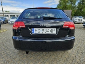 Audi A3 8P Hatchback 3d 1.6 102KM 2007 Audi A3 1,6 MPI Benzyna 102KM, zdjęcie 15