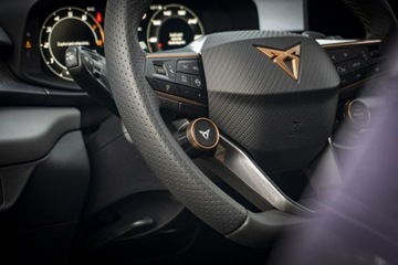 Cupra Terramar 2025 Cupra Terramar Advantage Edition DCC 2.0 TSI 204, zdjęcie 28