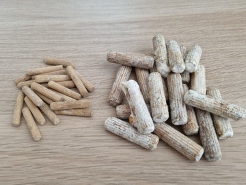 Мицелий OYSTER MUSIC на булавках