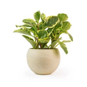 Терракотовый чехол для шара