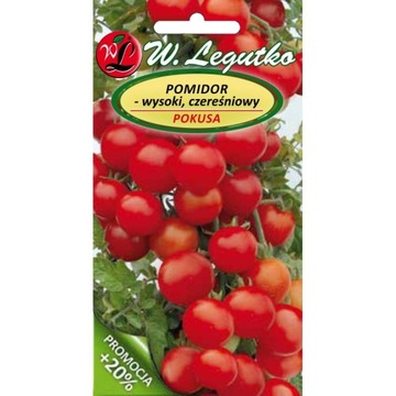 Pomidor Pokusa CHERRY gruntowy wysoki nasiona