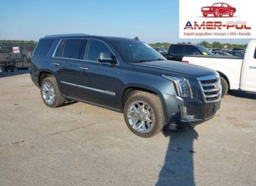 Cadillac Escalade III 2019 Cadillac Escalade Premium Luxury 2019 6.2l 6.2 Benzyna 420KM