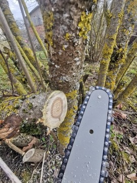 Аккумуляторная бензопила SAW MAX 2x АККУМУЛЯТОР