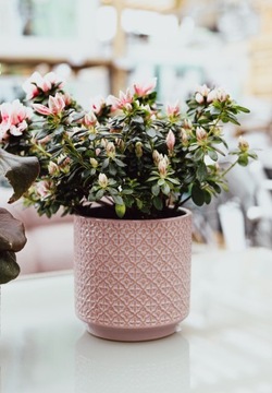 КЕРАМИЧЕСКАЯ ПОКРЫТКА АНДАЛУЗИЯ L