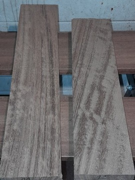 TARCICA MAHOŃ IROKO nr.11